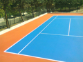 Immagine di Wimbledon paint Pro resina per tennis, basket, pickleball, padel, calcetto