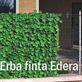 Immagine di Siepe in pannelli di erba finta EDERA 3x1,5