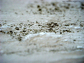 Immagine di Disinfettante Antimuffa per parete Jumbo-gen