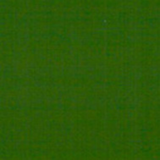 Immagine di Epoflex epossidica per pavimenti satinata 2K Epoflex Verde Leaf Green Ral 6002